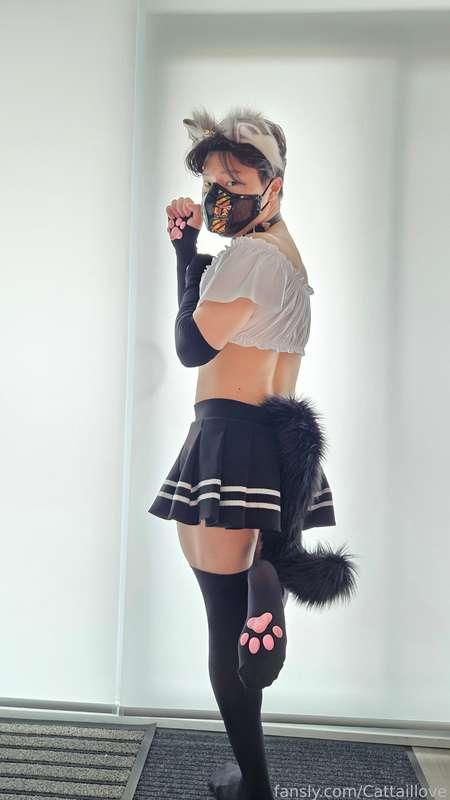 cattaillove image #0