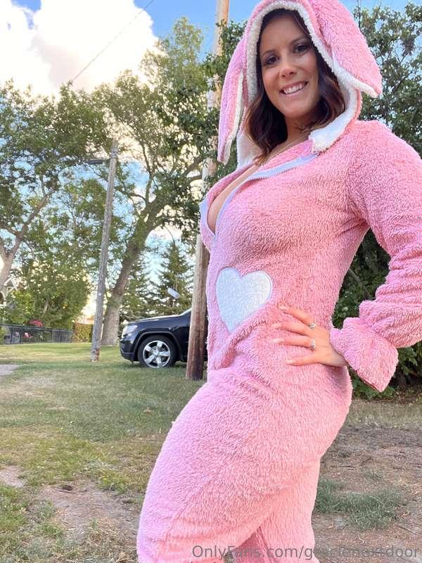 🐰 