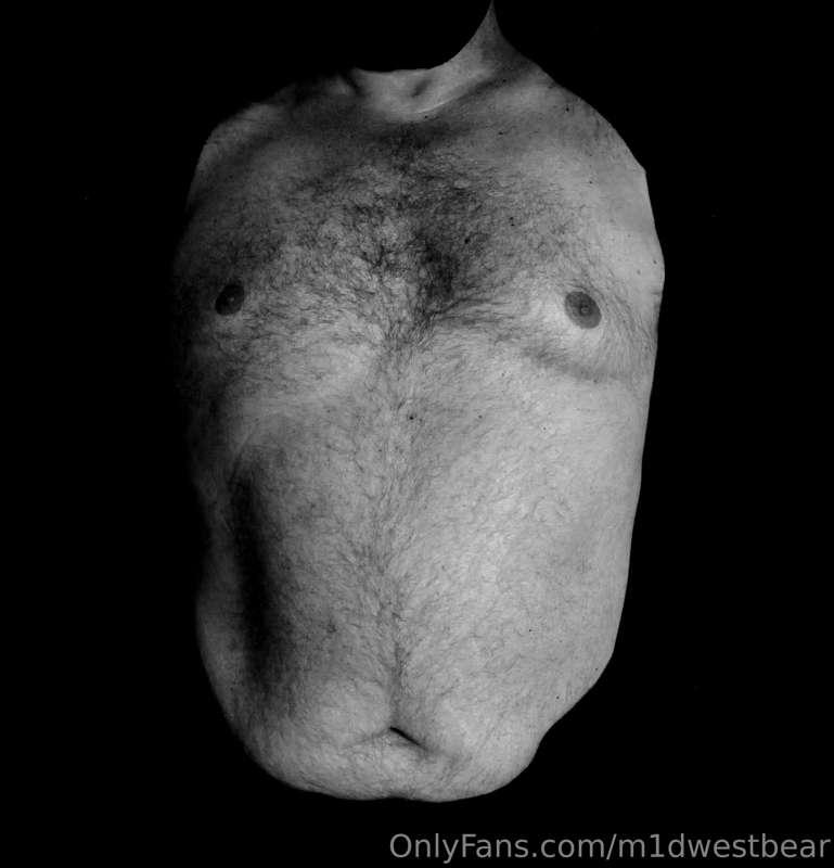 m1dwestbear image #5