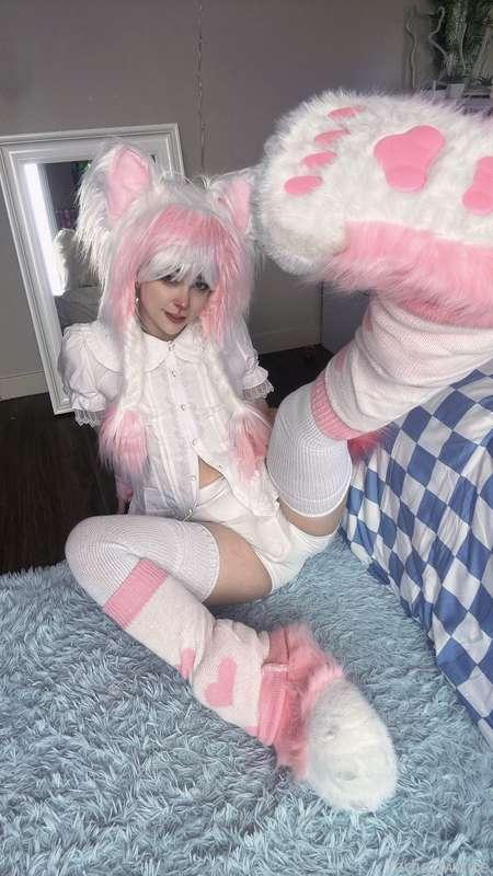 indigowhite image #119