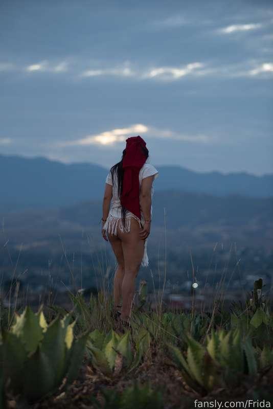 frida image #7