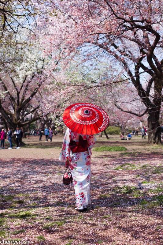 Spring is here! click for photoshoot <3 ^