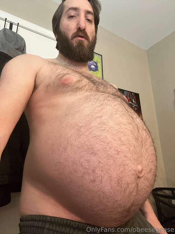 obeesegeese image #1