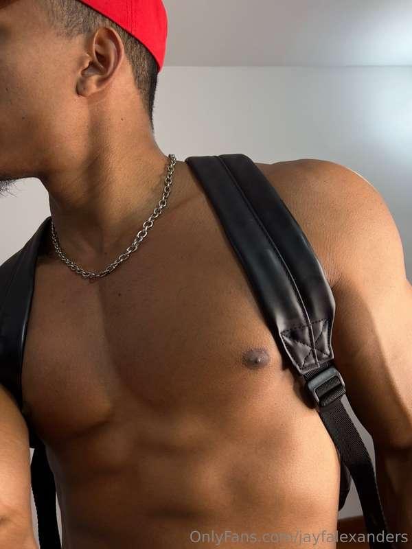 jayfalexanders image #6