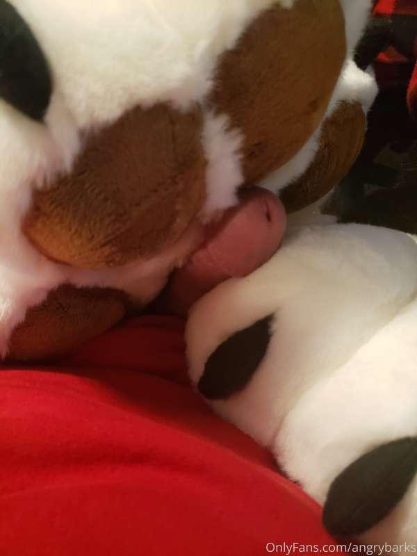 angrybarks image #1