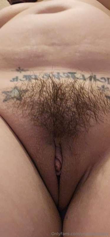 excuse my absence with bush pics