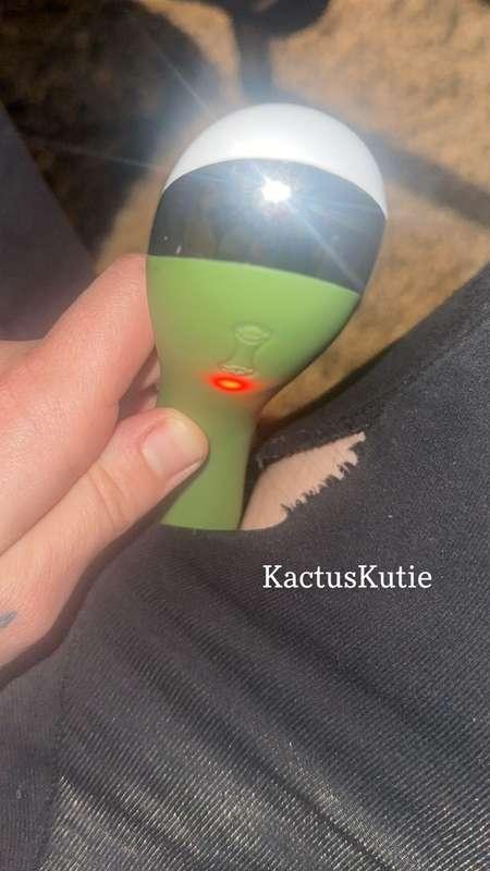 kactuskutie image #2