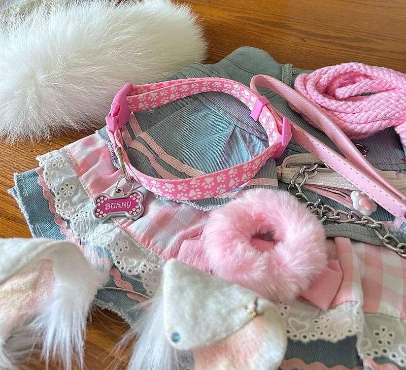 tokimekibunny image #0