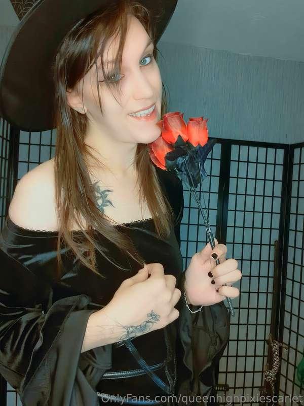 queenhighpixiescarlet image #3