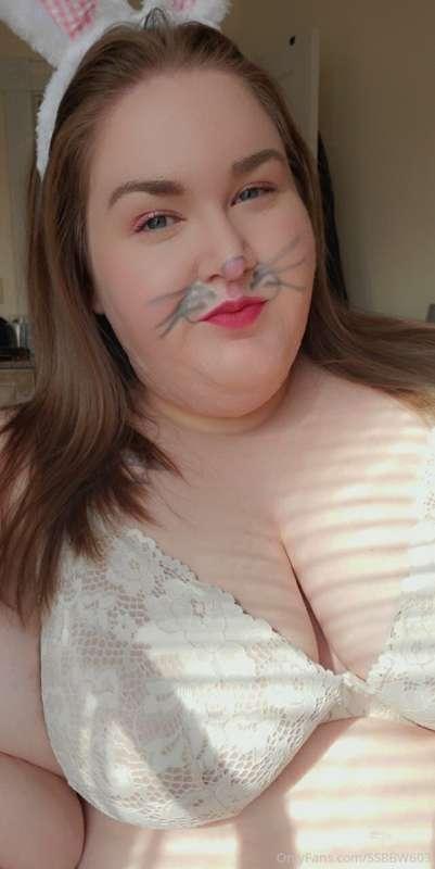 Fat Easter Bunny 🐽🐰