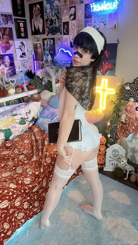 indigowhite image #227