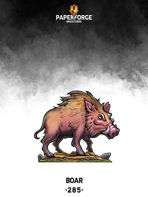 # 285 Boar