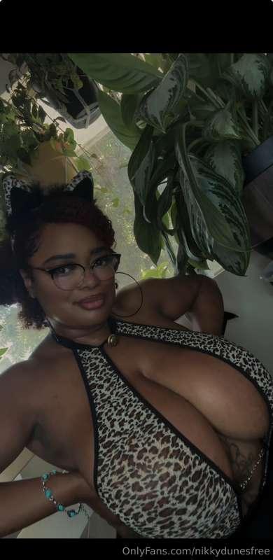 Meoowww. Who wants to eat the kat?😻
