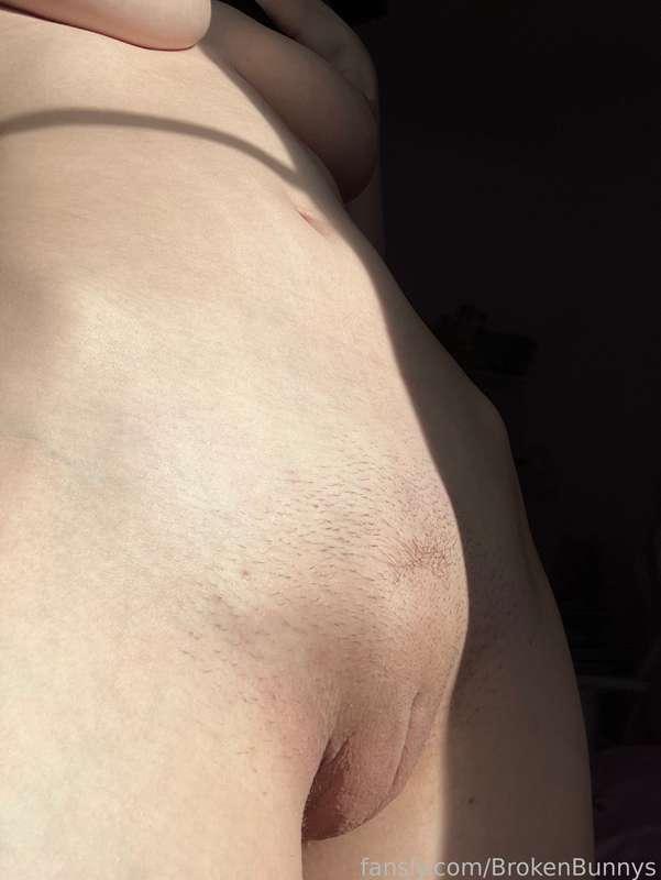 brokenbunnys image #3
