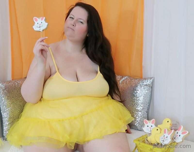🐤 🐰