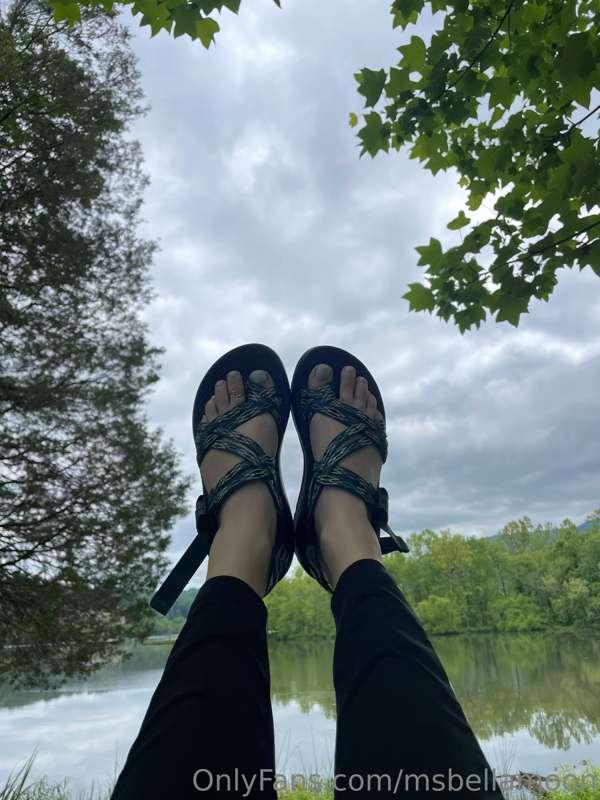 Lake life