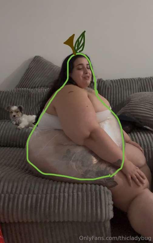 thicladybug image #0