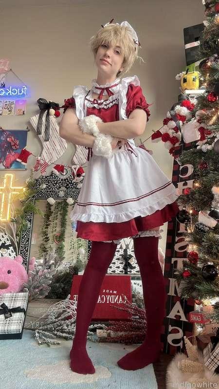 indigowhite image #6