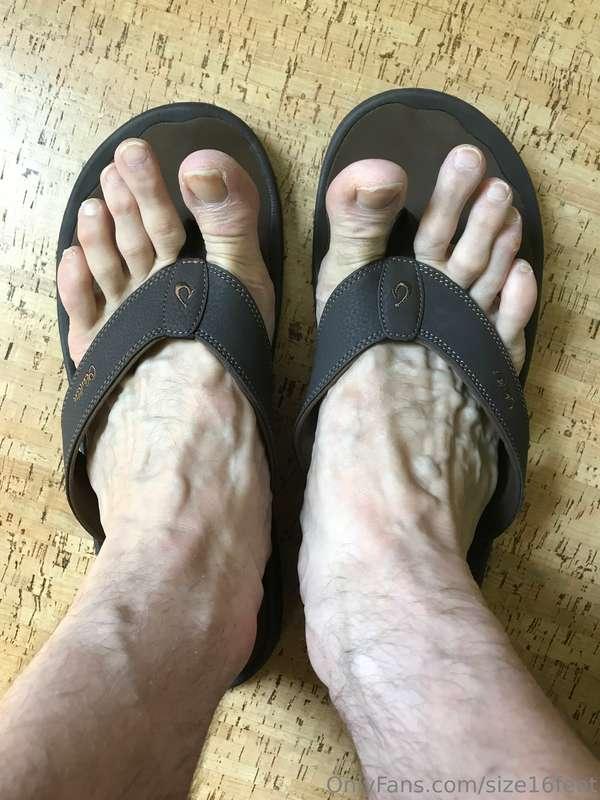 An oldie but a goodie!