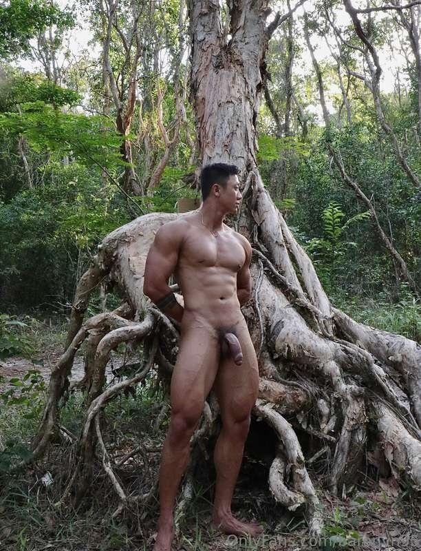 blend into nature @baronvn95