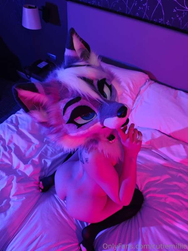 cutiemillie image #5