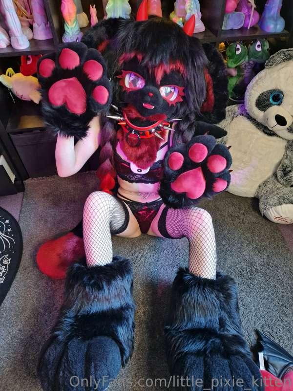 little_pixie_kitten image #7