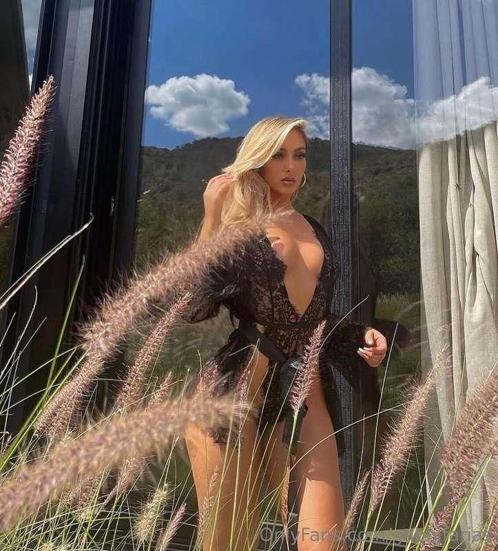 in the wild ✨
