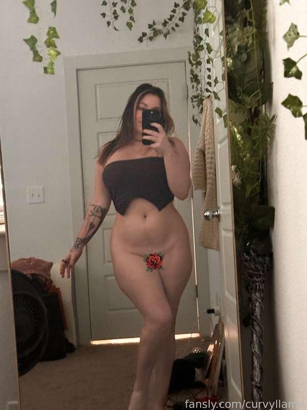 curvyllama image #2