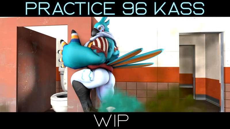 Practice 96 Kass