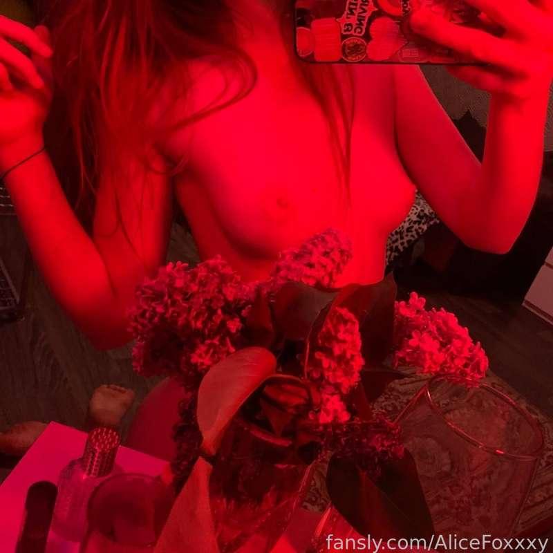 alicefoxxxy image #1