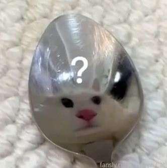 DM