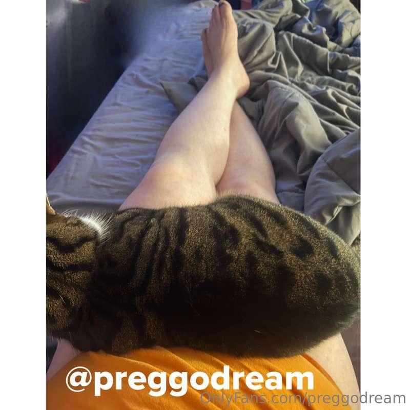 Do you like my pussy cat 🐱 