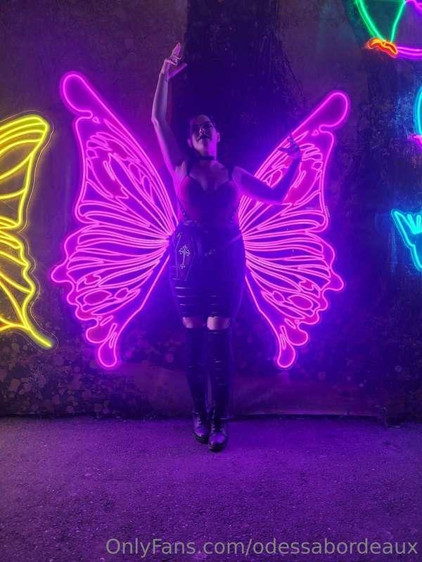 odessabordeaux image #0