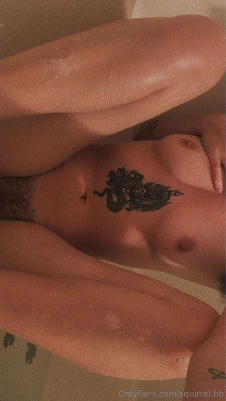 squirrel.bb image #6