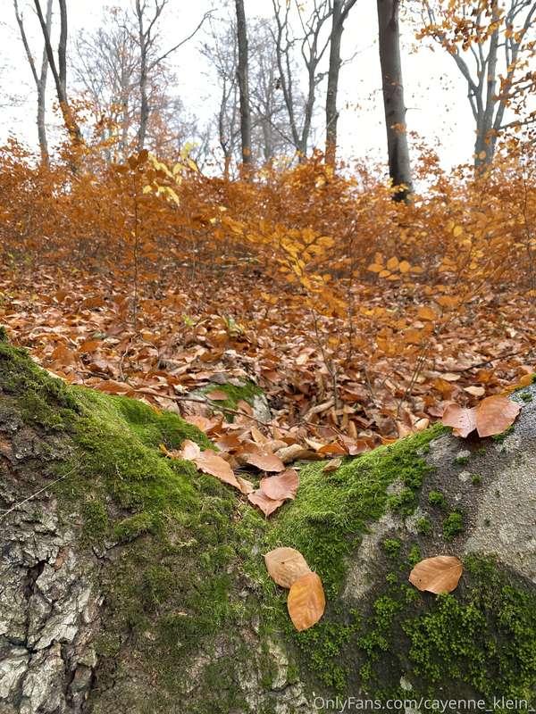 cayenne_klein_ image #13