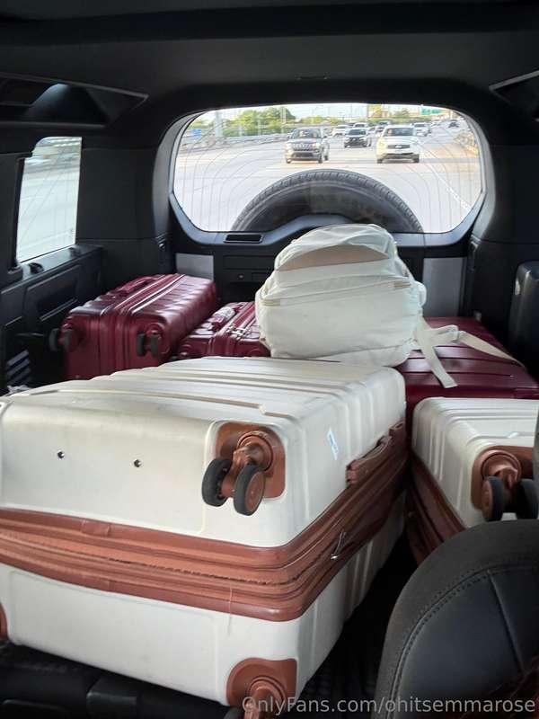 ohitsemmarose main image