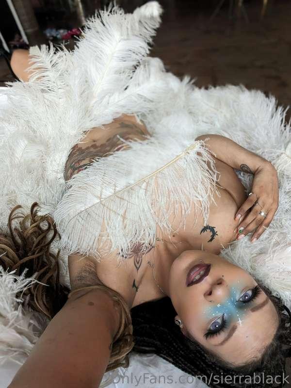 sierrablack image #11
