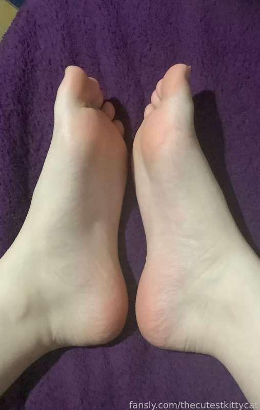 Just some casual little feetsies, can you imagine feeling my soft soles stroking your face and your cook? 