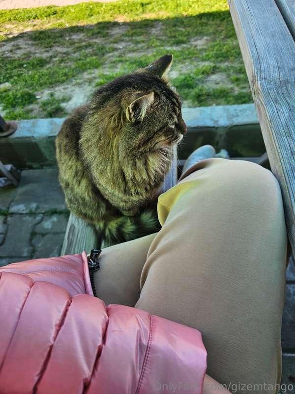 Kahvaltı yaparken yanıma oturdu 🐈💕 
Breakfast buddy 🐈🥰