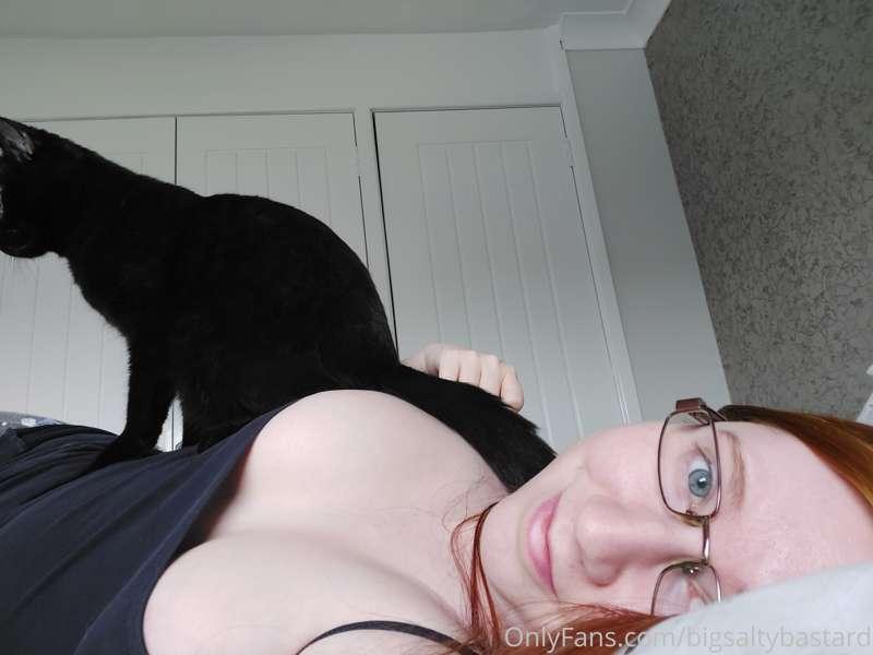 Do you really have a cat if you can lie down without being s..