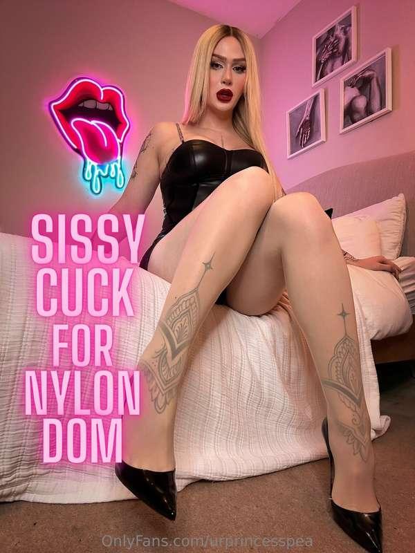 Sissy CUCK nylon Roleplay!“I’ll pleasure your wife better th..