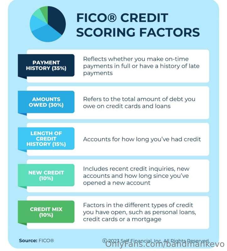 Payment history (35%): The most important credit scoring fac..