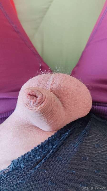 sasha_foxyq image #1