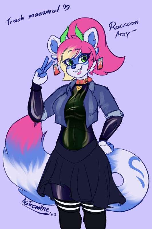 Raccoon Arsy (sketch)