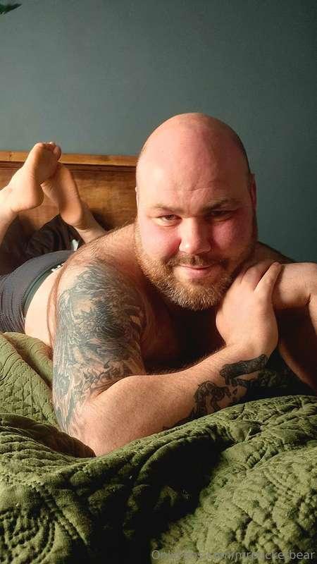 mrpocketbear image #2