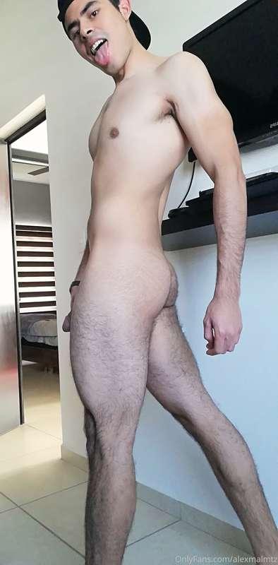 alexmalmtz image #1