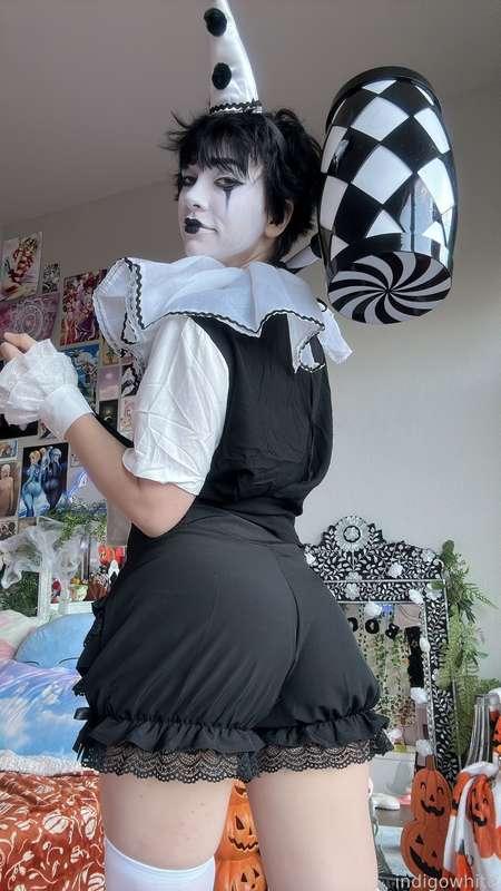 indigowhite image #116