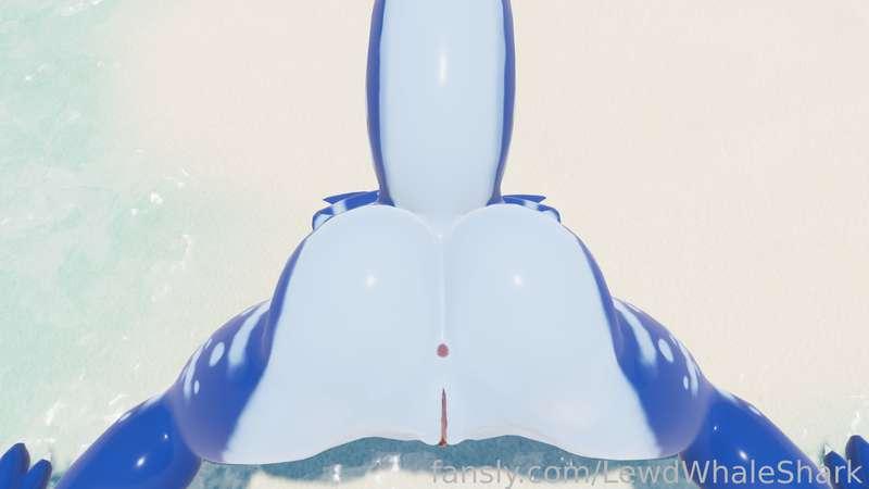lewdwhaleshark image #6