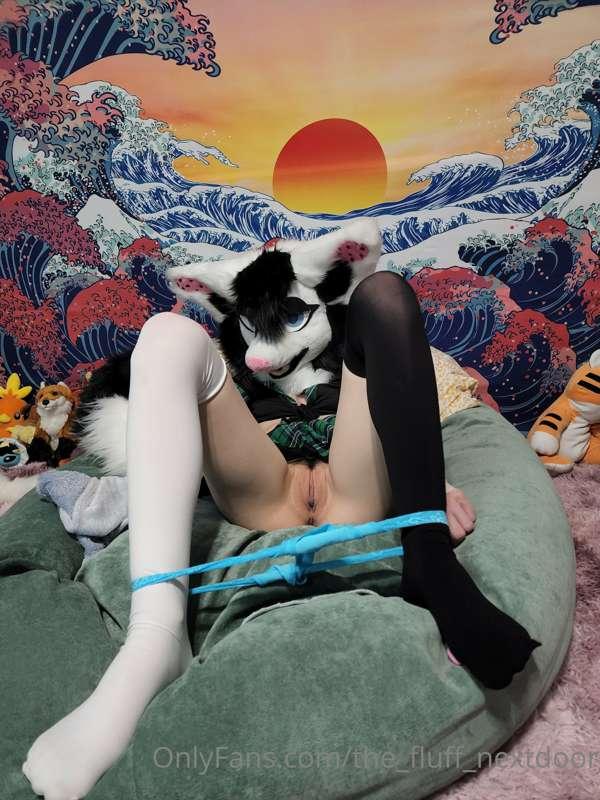 the_fluff_nextdoor image #9