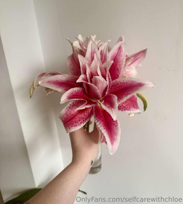 Flower are always a good idea!🌸💐🌺🌷🌹
